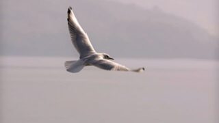 みんなの「離人症が治った方法」を集めてみた。【離人症の治し方】